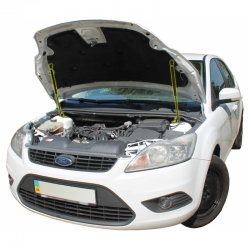     Ford Focus 2 rest (2008-2011) (2 )