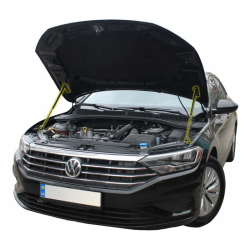     Volkswagen Jetta 7 (2018+) (2 )