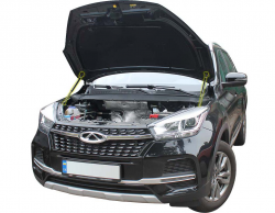     Chery Tiggo 4 (2017+) (1 .)