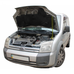     Ford Tourneo Connect (2002-2008) (1 )