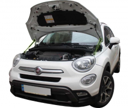     Fiat 500x (2014+) (2 )