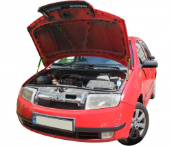     Skoda Fabia Mk1 (1998-2004) (2 )