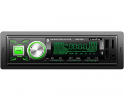   Celsior CCSW-209G