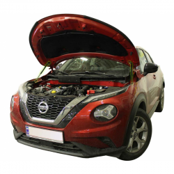     Nissan Juke 2 (2020+) (2 )