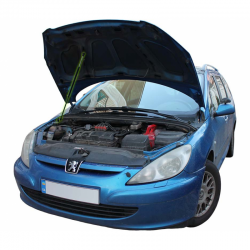     Peugeot 307 (2001-2004) (1 )