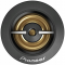  Pioneer TS-301TW