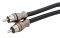 ̳�������� ������ Voice RCA-D250