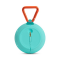   JBL Clip 2 Teal (JBLCLIP2TELEU)