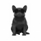   Jarre Technologies AeroBull XS1 Matt Black (ML0602 3201)