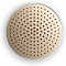   Xiaomi Portable Bluetooth Speaker Gold (FXR4039CN)