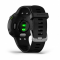 Garmin Forerunner 45 Black (010-02156-15)