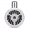   Cadence SWB 8W