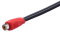������ RCA ������������ Voice RCA-BY22 (��)