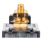 ���� ��������� �������������� Voice ANL-04