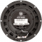  DLS Performance M226