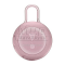   JBL Clip 3 Pink (JBLCLIP3PINK)