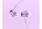  Xiaomi Huosai 3 Piston Fresh Bloom (HSEJ03JY) Purple (ZBW4357TY)