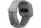 - Fitbit Versa Gray/Silver (FB505SRGY)
