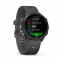 Garmin Forerunner 245 Black/Gray (010-02120-10/45)