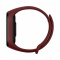 Գ- Xiaomi Mi Band 4 Wine Red (MGW4050CN)