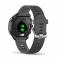 Garmin Forerunner 245 Black/Gray (010-02120-10/45)