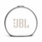   JBL Horizon 2 Grey (JBLHORIZON2GRYEU)