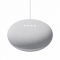 - Google Nest Mini Chalk (GA00638-US)