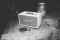   Marshall Loudspeaker Acton Cream (4090987)