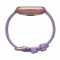 - Fitbit Versa Special Edition Lavander/Woven (FB505RGLV)