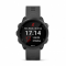 Garmin Forerunner 245 Black/Gray (010-02120-10/45)