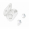  Samsung Galaxy Buds+ White (SM-R175NZWA)