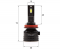   Infolight S2 H11 60W ()