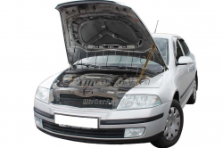 Газовий упор капота Skoda Oсtavia A5 (2004-2013) (1 шт) Фото Газовий упор капота Skoda Oсtavia A5 (2004-2013) (1 шт)