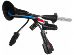 Ксенонові лампи Sho-Me DC 35W (4300/5000/6000K) Фото Ксенонові лампи Sho-Me DC 35W (4300/5000/6000K)