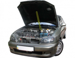 Газовий упор капота Daewoo Lanos (2упора) (1998+) (2 шт) Фото Газовий упор капота Daewoo Lanos (2упора) (1998+) (2 шт)