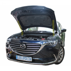 Газовий упор капота Mazda CX9 (2g) (2016+) (2 шт) Фото Газовий упор капота Mazda CX9 (2g) (2016+) (2 шт)